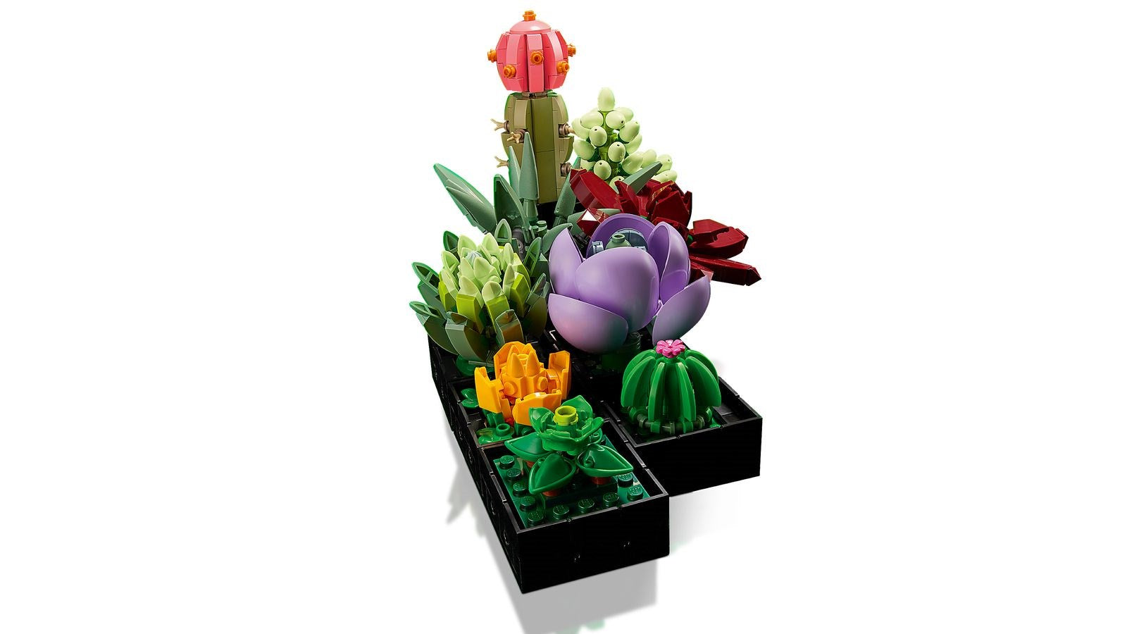 LEGO ICONS 10309 SUCCULENTS Brand Lego