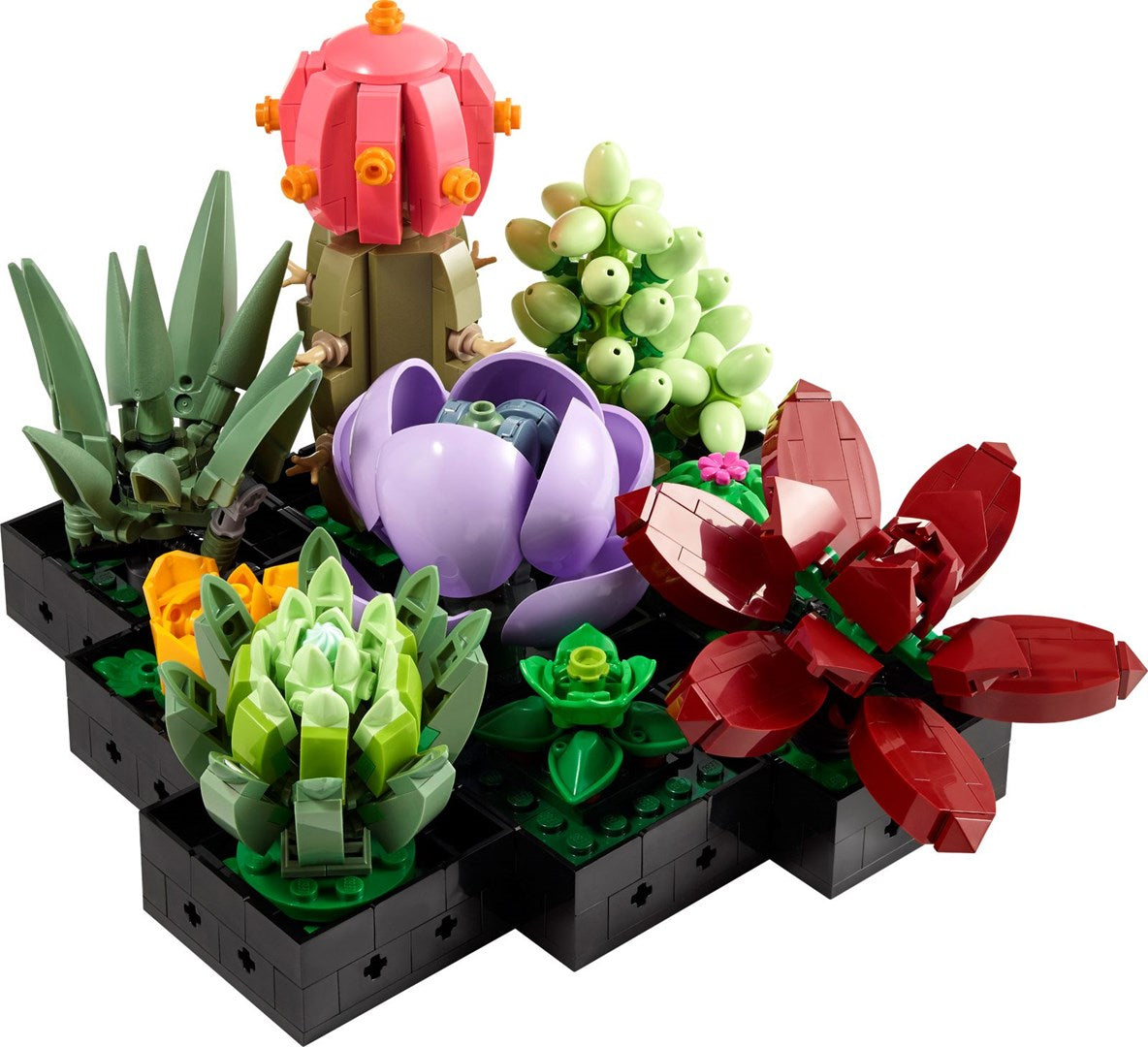 LEGO ICONS 10309 SUCCULENTS Brand Lego