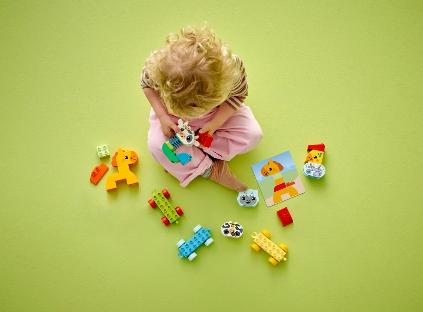 LEGO DUPLO 10412 ANIMAL TRAIN Brand Lego