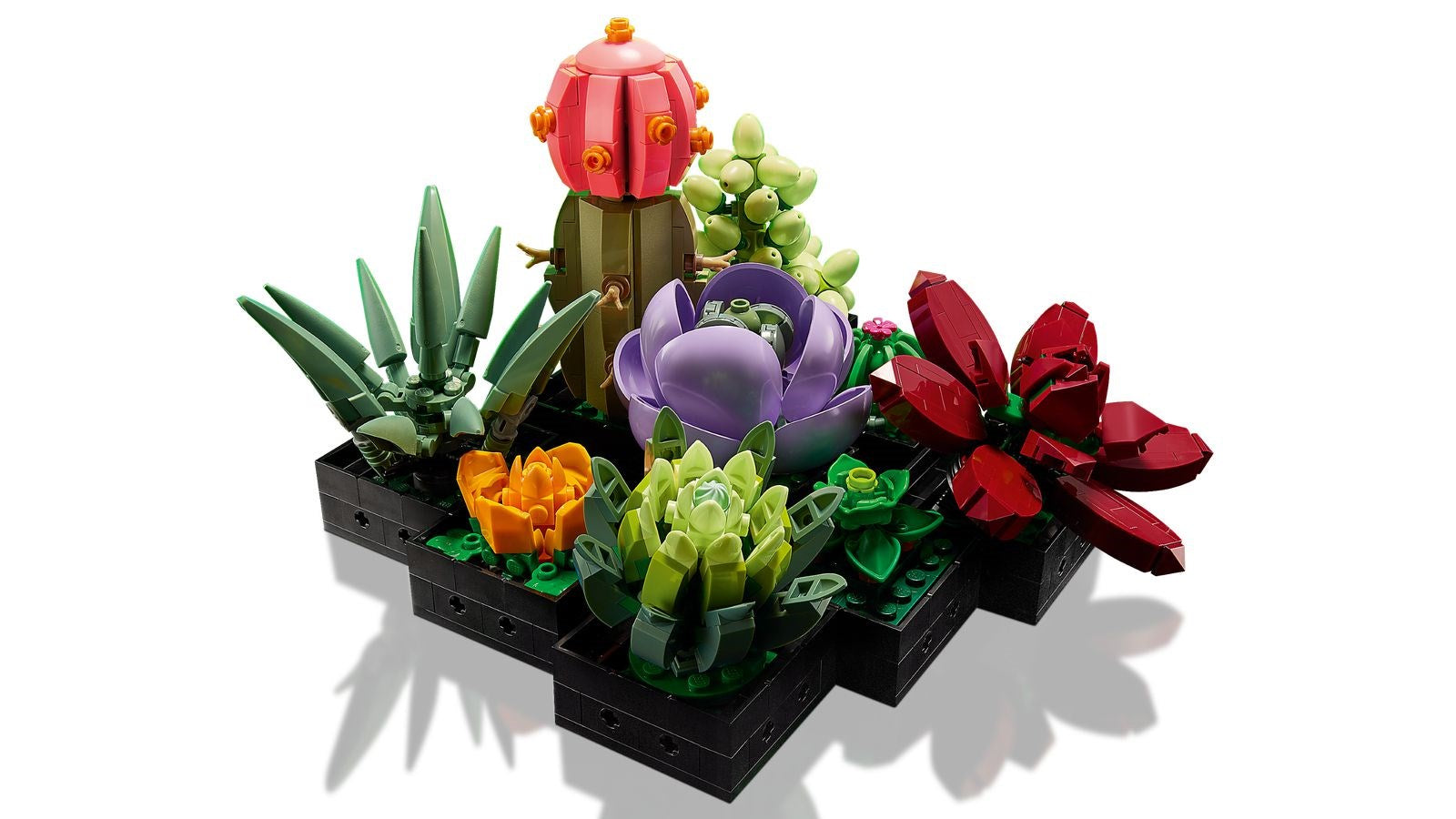 LEGO ICONS 10309 SUCCULENTS Brand Lego