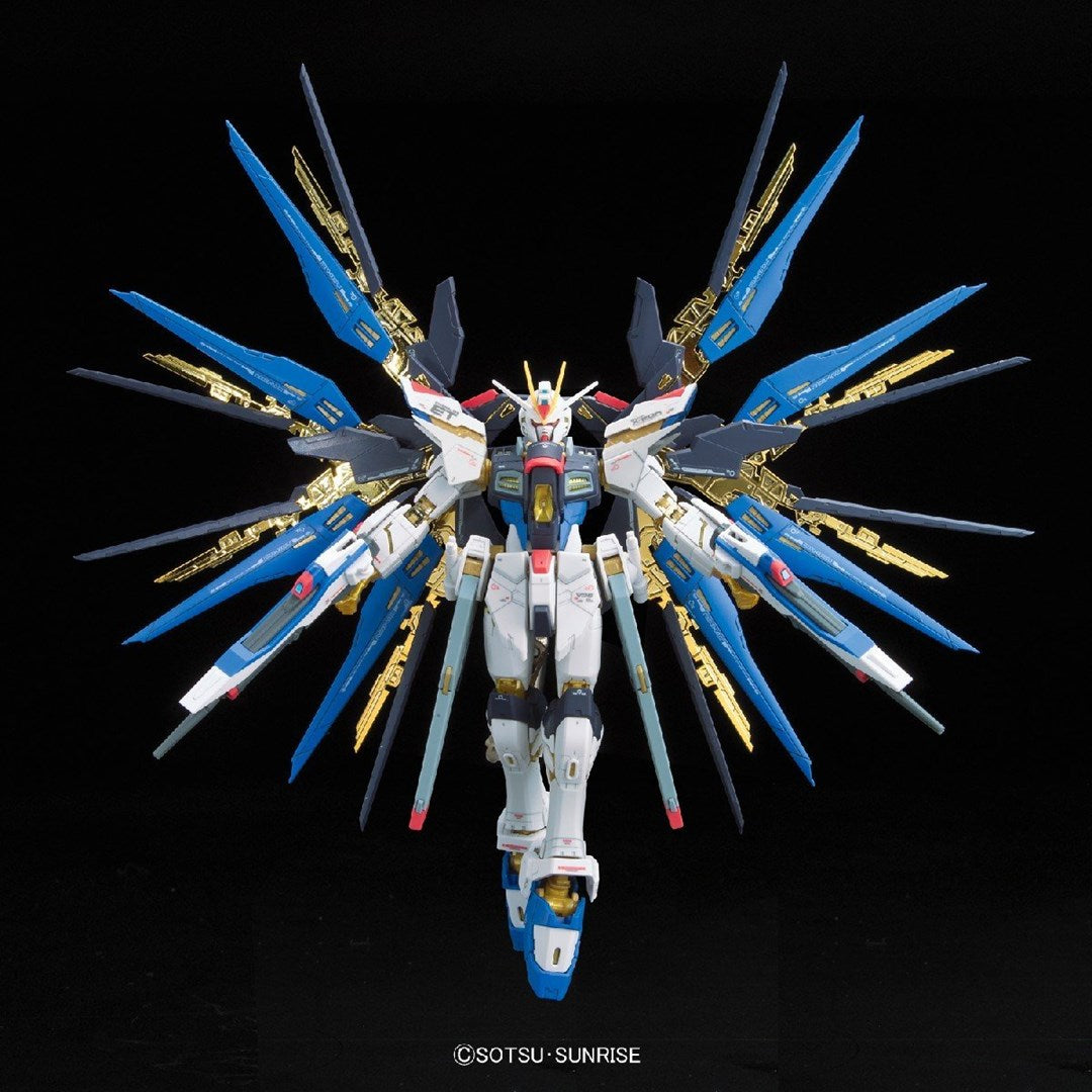 RG 1/144 STRIKE FREEDOM GUNDAM Brand BANDAI